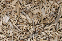 biomass boilers Dunbog